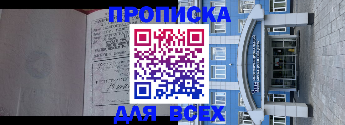 временная регистрация для всех в Новозыбкове